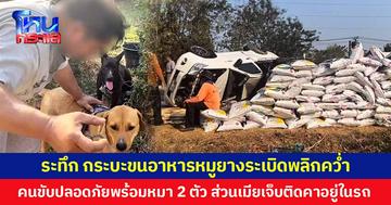 ระทึก กระบะขนอาหารหมูยางระเบิดพลิกคว่ำ คนขับปลอดภัยพร้อมหมา 2 ตัว ส่วนเมียเจ็บติดคาอยู่ในรถ