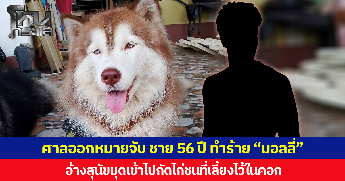 ศาลออกหมายจับ ชายอายุ 56 ปี ทำร้าย “มอลลี่” อ้างสุนัขมุดเข้าไปกัดไก่ชนที่เลี้ยงไว้ในคอก