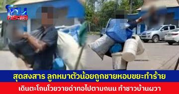 สุดสงสาร ลูกหมาตัวน้อยถูกชายหอบขยะทำร้าย  เดินตะโกนโวยวายด่าทอไปตามถนน ทำชาวบ้านผวา