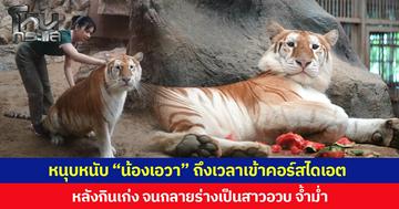 หนุบหนับ “น้องเอวา” ถึงเวลาเข้าคอร์สไดเอต  หลังกินเก่ง จนกลายร่างเป็นสาวอวบ จ้ำม่ำ  พี่เลี้ยงปรับอาหารคุมบอดี้สกอร์เพื่อสุขภาพที่ดี