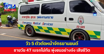 ชายวัย 47 ขี่จักรยานยนต์ไปซื้อของ เจอวัว 5 ตัวตัดหน้า เบรกไม่ทัน พุ่งชนเสียชีวิต