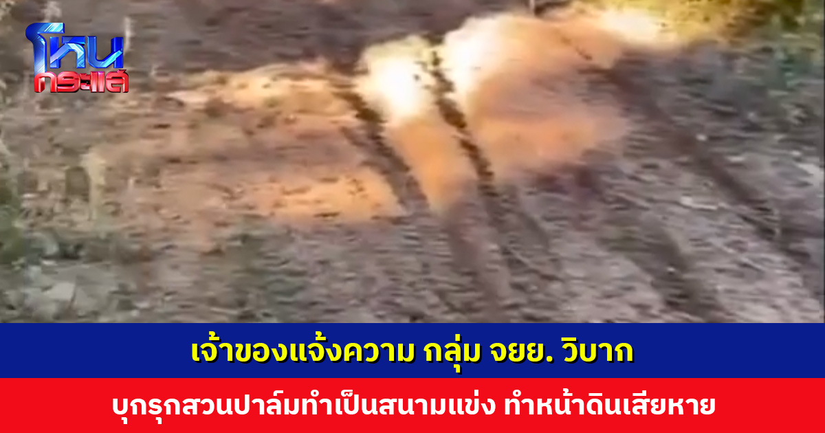 เจ้าของแจ้งความ กลุ่ม จยย. วิบาก บุกรุกสวนปาล์มทำเป็นสนามแข่ง ยืนยันไม่เคยได้รับการติดต่อขออนุญาต