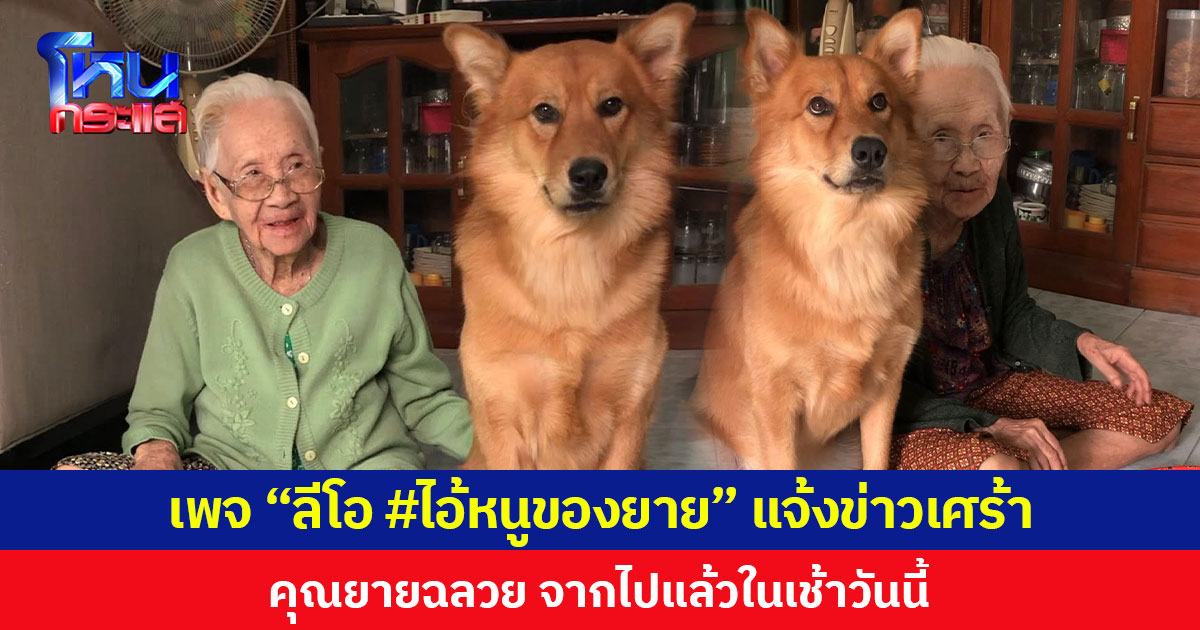 เพจ “ลีโอ #ไอ้หนูของยาย” แจ้งข่าวเศร้า  คุณยายฉลวย จากไปแล้วในเช้าวันนี้
