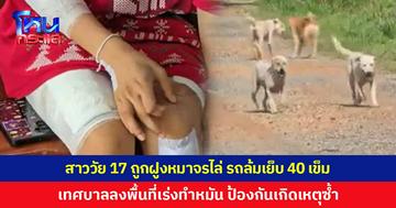 สาววัย 17 ถูกฝูงหมาจรวิ่งไล่ ทำรถล้มเจ็บหนัก เย็บ 40 เข็ม ค่ารักษาครึ่งแสน เทศบาลลงพื้นที่เร่งทำหมันสุนัข ป้องกันเกิดเหตุซ้ำ