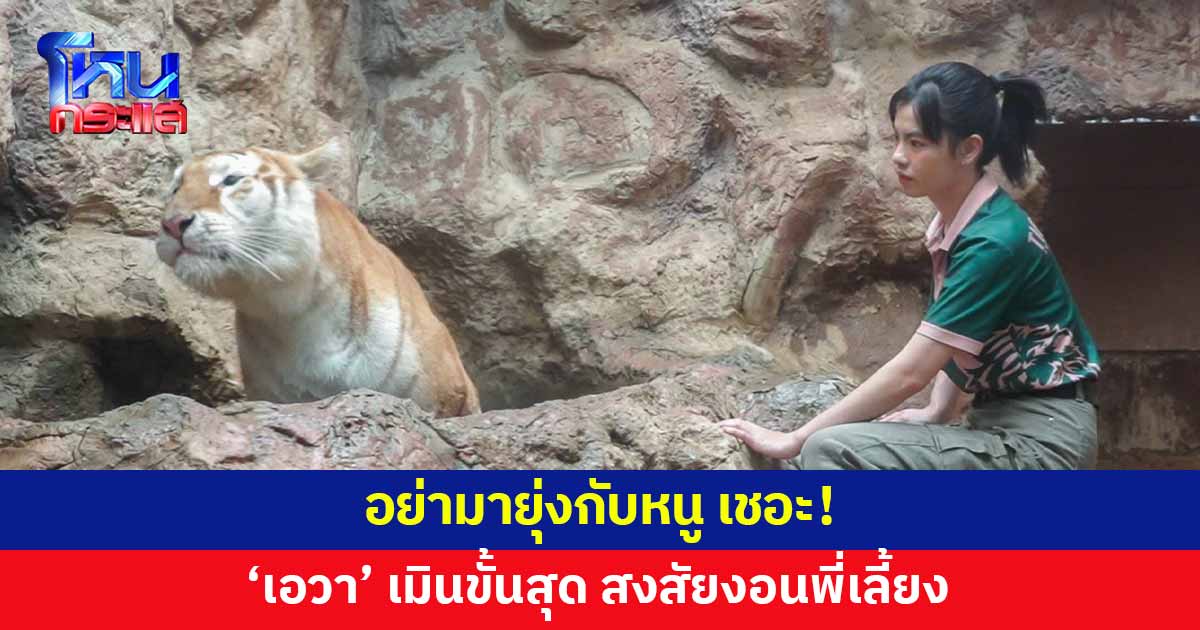 'น้องเอวา' เมินพี่เลี้ยง ชาวเน็ตแห่แซว สงสัยโดนดุ งอนถึงขั้นไม่มองหน้า