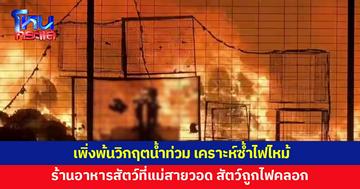 เพิ่งพ้นวิกฤตน้ำท่วมใหญ่ รอบนี้ไฟไหม้ ร้านอาหารสัตว์ที่แม่สายวอด
