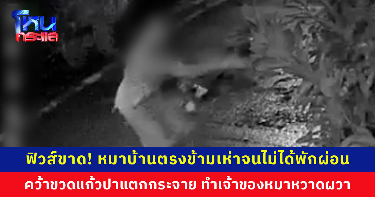 เพื่อนบ้านฟิวส์ขาด! หมาบ้านตรงข้ามเห่าจนไม่ได้พักผ่อน คว้าขวดแก้วปาแตกกระจาย เจ้าของหมาผวา กลัวไม่ปลอดภัย