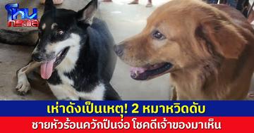 ชายหัวร้อนฉุนหมาเห่าเสียงดัง บุกควักปืนจ่อ 2 หมาหวิดดับ โชคดีเจ้าของมาเห็นก่อน ถาม "ต้องทำขนาดนี้เหรอ"