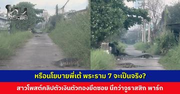 สาวโพสต์คลิปตัวเงินตัวทองยึดซอย บรรยากาศนึกว่าอยู่จูราสสิก พาร์ก