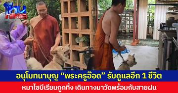 อนุโมทนาบุญ “พระครูอ๊อด” รับดูแลอีก 1 ชีวิต  หมาไซบีเรียนถูกทิ้ง เดินทางมาวัดพร้อมกับสายฝน
