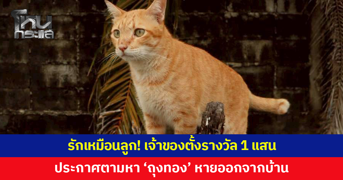 รักเหมือนลูก! เจ้าของตั้งรางวัล 1 แสน ประกาศตามหา 'ถุงทอง'