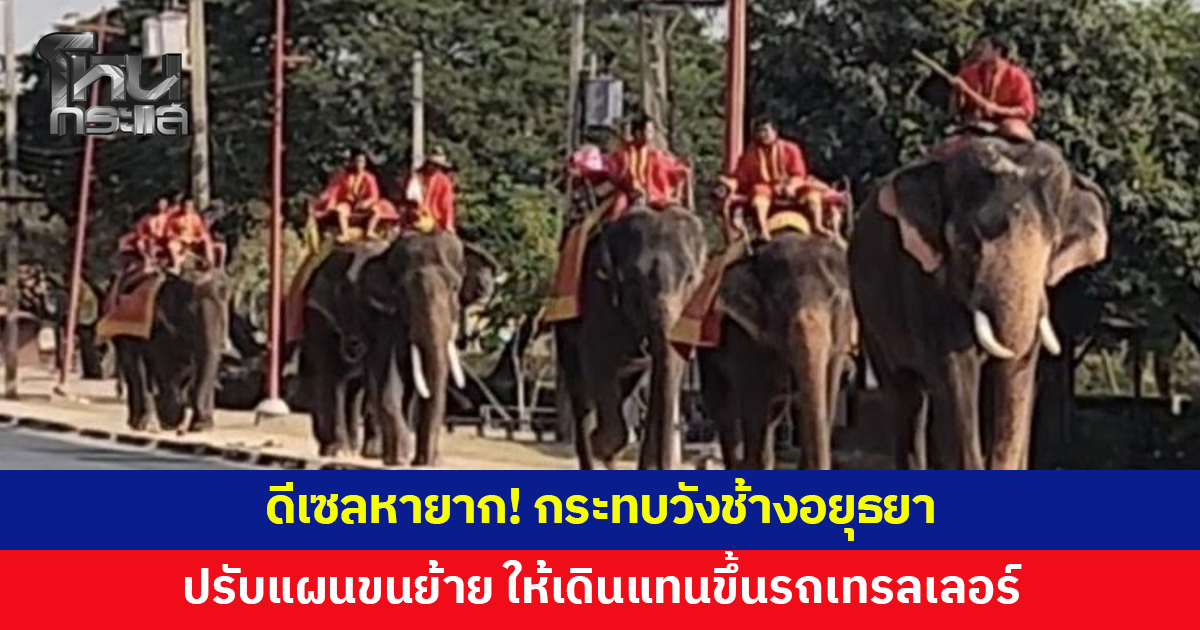 ดีเซลหายาก! กระทบ 'วังช้างอยุธยา' ต้องปรับแผนขนย้าย ให้ช้างเดิน 5 กม.แทนขึ้นรถเทรลเลอร์