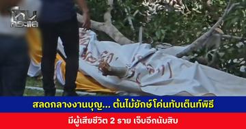 เกิดเหตุสลดกลางงานบุญ... ต้นไม้ยักษ์โค่นทับเต็นท์พิธี เสียชีวิต 2 ราย เจ็บอีกนับสิบ