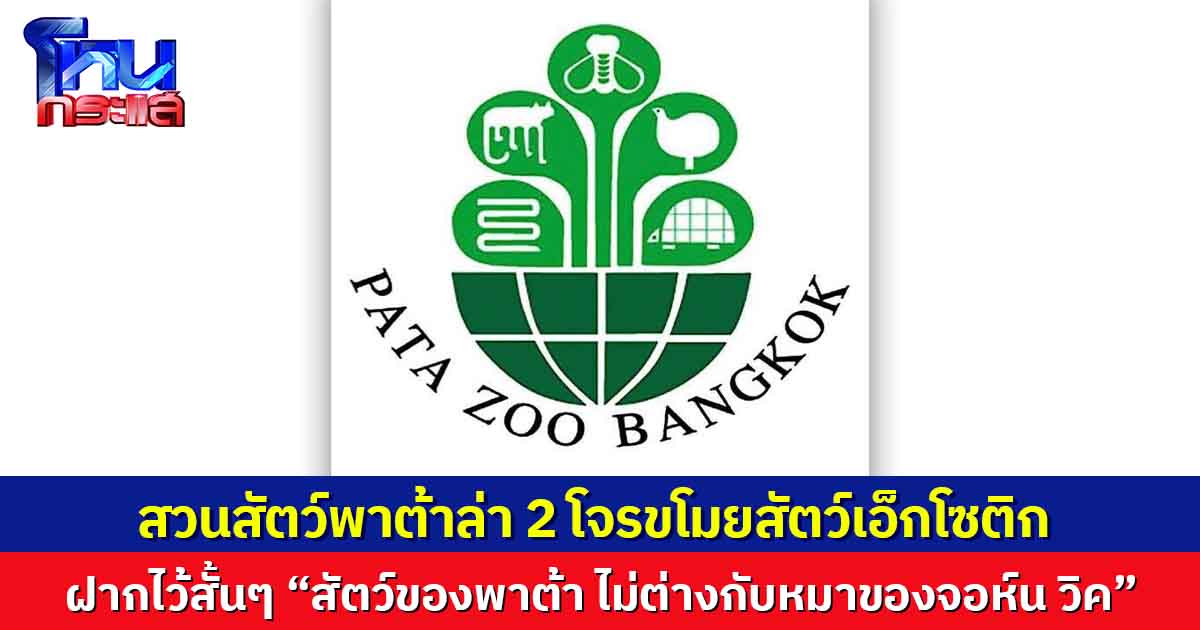 สวนสัตว์พาต้าโพสต์ล่า 2 โจรชายหญิงขโมย 'กิ้งก่าจระเข้จีน-ซาลาแมนเดอร์ลายเสือ'