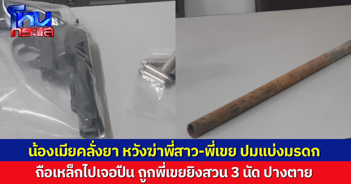น้องเมียคลั่งยา น้อยใจได้มรดกน้อย ถือเหล็กบุกเข้าบ้าน หวังเอาชีวิตพี่สาว-พี่เขย โดนยิงสวน 3 นัดปางตาย พี่เขยถูกดำเนินคดีฐานพยายามฆ่า