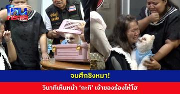 จบศึกชิงหมา! วินาทีเห็นหน้า ‘กะทิ’ เจ้าของร้องไห้โฮ