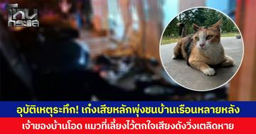 อุบัติเหตุระทึก! เก๋งเสียหลักพุ่งชนบ้านเรือนหลายหลังพังเสียหาย  เจ้าของบ้านโอด แมวที่เลี้ยงไว้ตกใจเสียงดังวิ่งเตลิดหาย