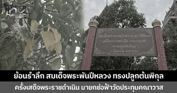 ย้อนรำลึก สมเด็จพระพันปีหลวงทรงปลูกต้นพิกุล ครั้งเสด็จพระราชดำเนิน มายกช่อฟ้าวัดประทุมคณาวาส