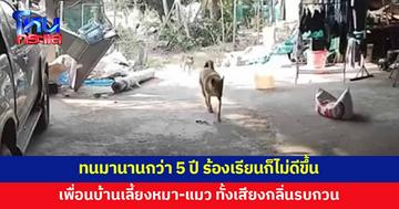 ร้องเรียนเท่าไรก็ไม่แก้ไข! เพื่อนบ้านเลี้ยงหมา-แมว ทั้งเสียงทั้งกลิ่นรบกวน 