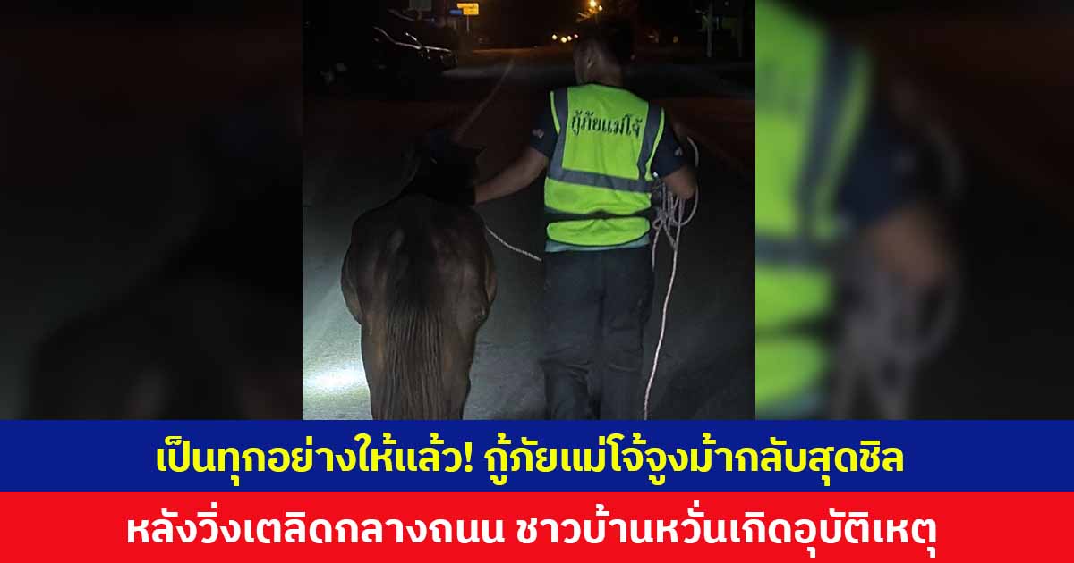 เป็นทุกอย่างให้เธอแล้ว! กู้ภัยแม่โจ้จูงม้ากลับสุดชิล หลังวิ่งเตลิดกลางถนน ชาวบ้านหวั่นเกิดอุบัติเหตุ ล่าสุดเจ้าของมารับกลับบ้านแล้ว