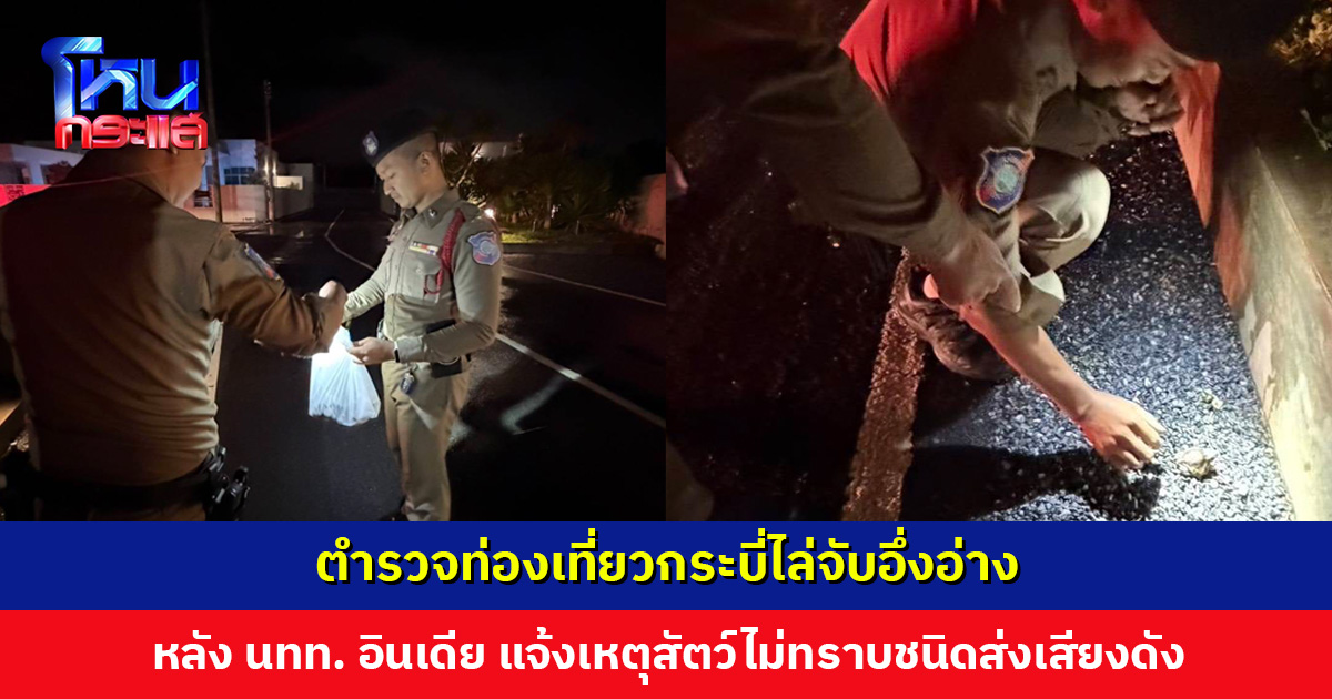 ตำรวจท่องเที่ยวกระบี่ไล่จับอึ่งอ่าง หลังนักท่องเที่ยวอินเดียแจ้ง มีสัตว์ไม่ทราบชนิดส่งเสียงระงมจนนอนไม่หลับ