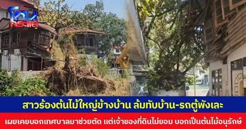 สาวร้องต้นไม้ใหญ่ข้างบ้าน ล้มทับบ้าน-รถตู้พังเละ เผยเคยบอกเทศบาลมาช่วยตัด แต่เจ้าของที่ดินไม่ยอม บอกเป็นต้นไม้อนุรักษ์