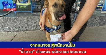 ไวรัล “เจ้าน้ำตาล” สุนัขประจำปั๊มน้ำมันคลอง 7 แสนรู้จนถูกแต่งตั้งให้เป็นพนักงาน ตำแหน่ง “เจ้าหน้าที่ลาดตระเวนประจำปั๊ม”