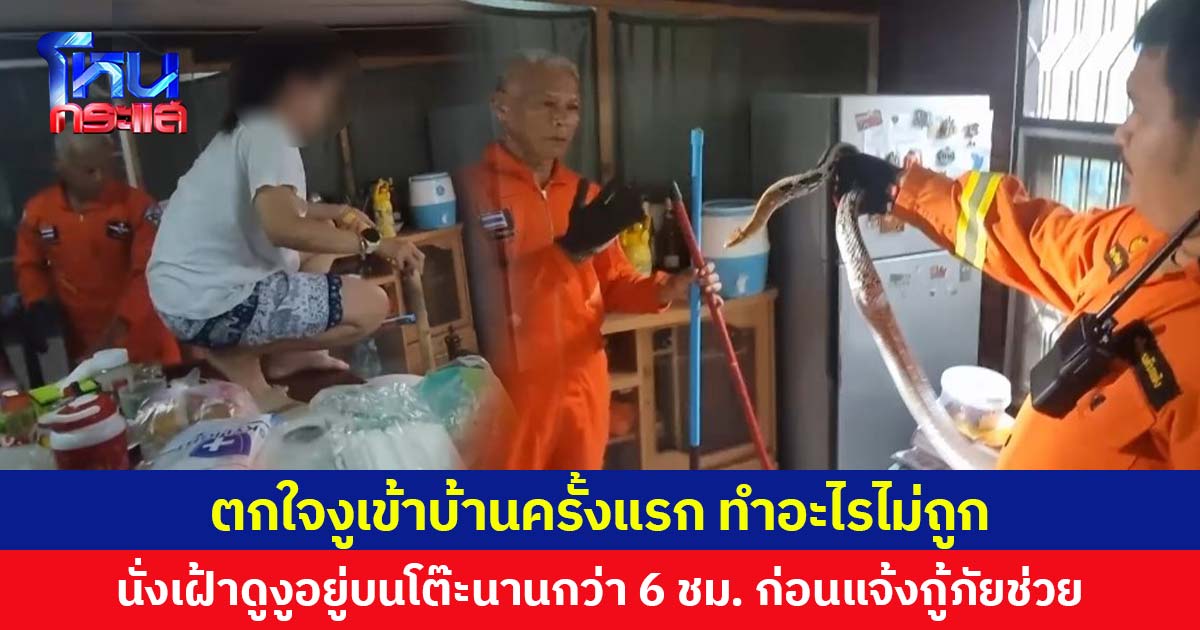 ตกใจงูเข้าบ้านครั้งแรก ทำอะไรไม่ถูก  นั่งเฝ้าดูงูอยู่บนโต๊ะนานกว่า 6 ชม. ก่อนแจ้งกู้ภัยช่วย