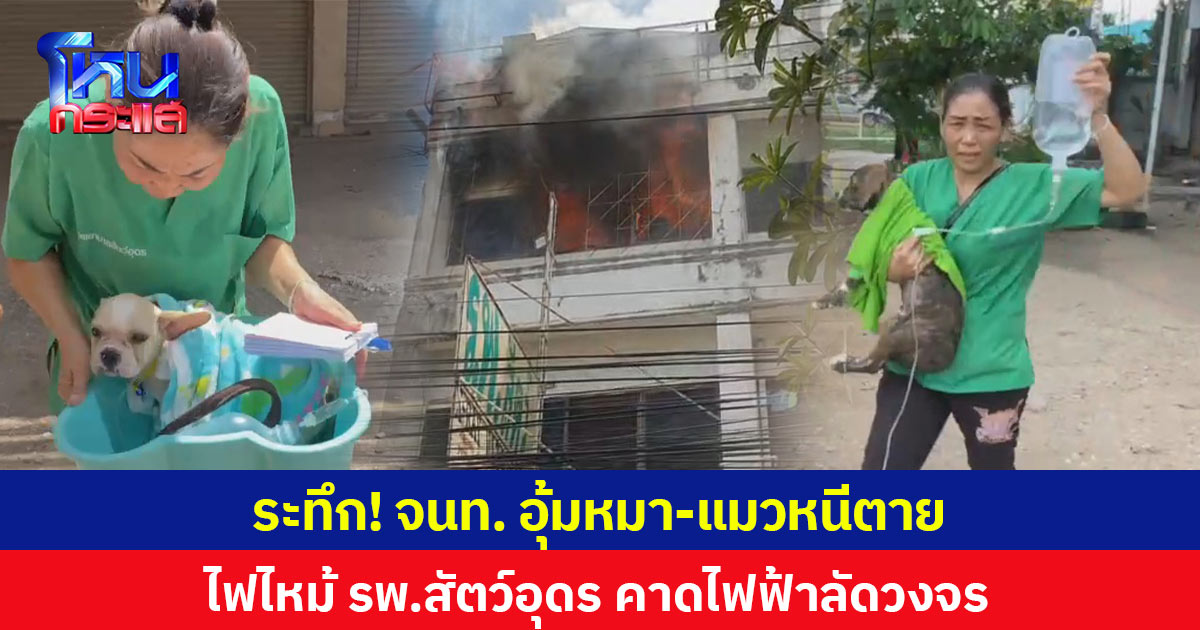ระทึก! จนท. อุ้มหมา-แมวหนีตาย ไฟไหม้ รพ.สัตว์อุดร คาดไฟฟ้าลัดวงจร