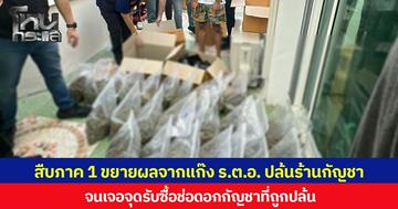 สืบภาค 1 ขยายผลจากแก๊ง ร.ต.อ. ปล้นร้านกัญชา จนเจอจุดรับซื้อช่อดอกกัญชาที่ถูกปล้น