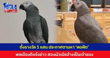 อดีตอาจารย์ ม.ดัง ตั้งรางวัล 1 แสน ประกาศตามหา 'พอฟัด' นกแอฟริกันเกรย์หลุดออกจากบ้าน พลเมืองดีเจอยังไม่ทันไปรับนก สองผัวเมียสวมรอยอ้างเป็นเจ้าของ