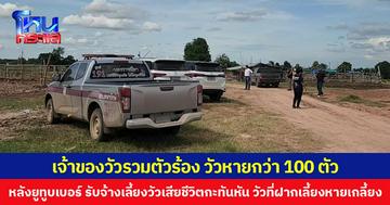 เจ้าของวัวรวมตัวร้องตำรวจช่วยตามหา  วัวหายกว่า 100 ตัว หลังยูทูบเบอร์ รับจ้างเลี้ยงวัวเสียชีวิตกะทันหันวัวที่ฝากเลี้ยงหายเกลี้ยง