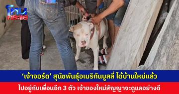 ‘เจ้าจอร์ด’ ได้บ้านใหม่แล้ว หลังเจ้าของเดิมที่เป็นพระมรณภาพ เจ้าของใหม่สัญญาจะดูแลอย่างดี