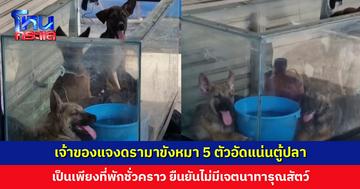 เจ้าของแจงดรามาขังหมา 5 ตัวอัดแน่นตู้ปลา เป็นเพียงที่พักชั่วคราวระหว่างรอย้าย ขอโทษกลุ่มคนรักหมา