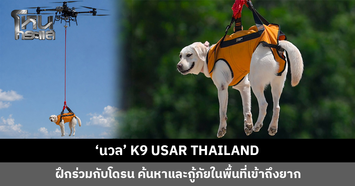 ‘นวล’ K9 USAR THAILAND ฝึกปฏิบัติการร่วมกับโดรน พัฒนาขีดความสามารถด้านการค้นหาและกู้ภัยในพื้นที่เข้าถึงยาก