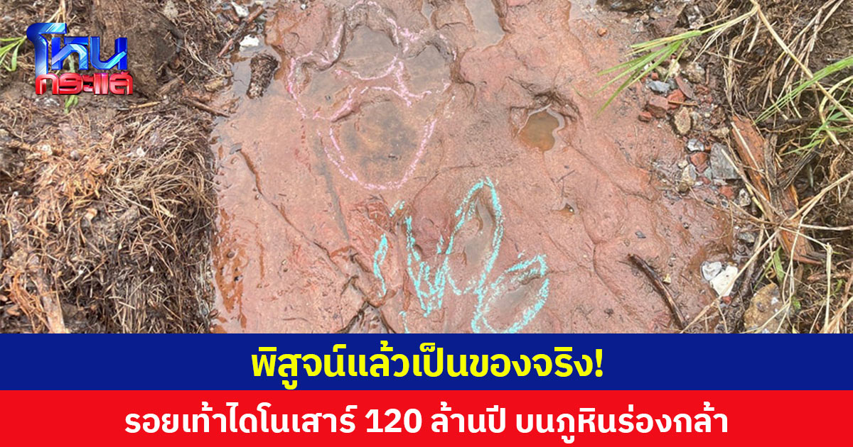 พิสูจน์แล้วเป็นของจริง “รอยเท้าไดโนเสาร์” ที่อุทยานฯ ภูหินร่องกล้า อายุ 120 ล้านปี ยุคครีเทเชียสตอนต้น ส่วนใหญ่เป็นรอยเท้าของไดโนเสาร์กินเนื้อเดินสองขากลุ่มเทอโรพอด