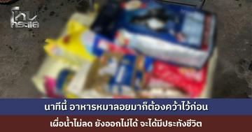 นาทีนี้ อาหารหมาลอยมาก็ต้องคว้าไว้ก่อน เผื่อน้ำไม่ลด ยังออกไม่ได้ จะได้มีประทังชีวิต