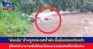 “พังแอ้ม” ช้างถูกกระแสน้ำพัดพื้นที่แม่วาง จ.เชียงใหม่ ขึ้นฝั่งปลอดภัยแล้ว!  ตรวจร่างกายเบื้องต้น รู้สึกตัวดี สามารถยืนได้และไม่พบความผิดปกติที่น่าเป็นห่วง
