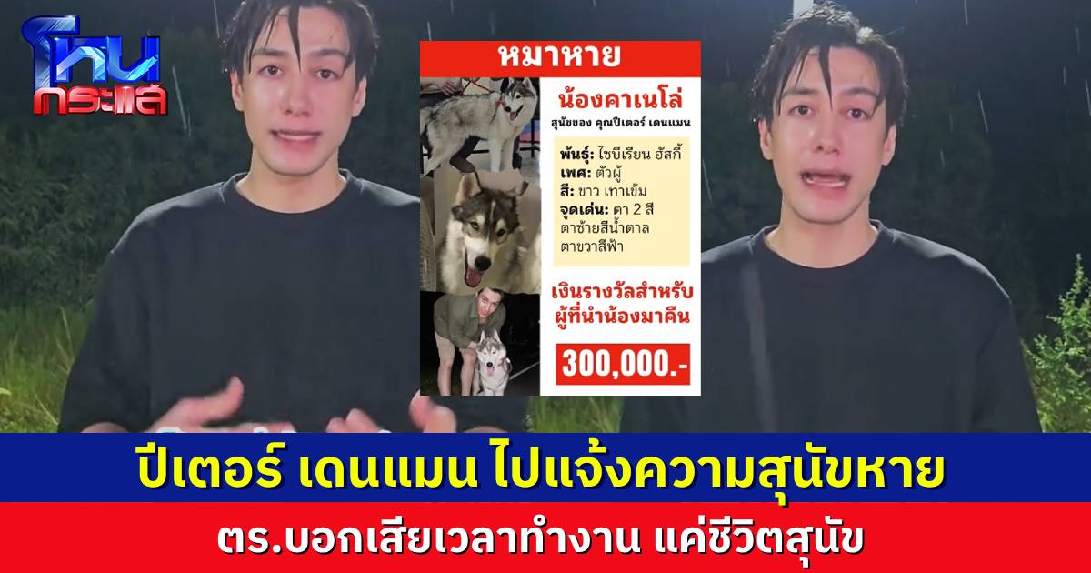 “ปีเตอร์ เดนแมน” ตามหา “เจ้าคาเนโล่” น้องหมาไซบีเรียนที่หายไป เล่าเหตุการณ์ไปแจ้งความ ตำรวจตอบ “แค่หมาหาย อย่าทำให้ตำรวจเสียเวลา”