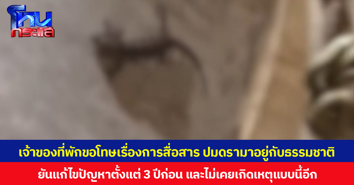 เจ้าของที่พักขอโทษเรื่องการสื่อสาร ปมดรามาอยู่กับธรรมชาติ ยันแก้ไขปัญหาตั้งแต่ 3 ปีก่อน และไม่เคยเกิดเหตุแบบนี้อีก