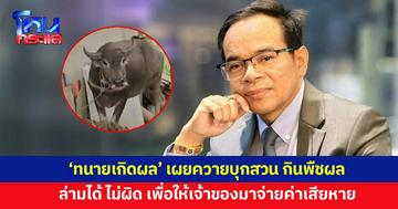 'ทนายเกิดผล' เผยข้อกฎหมายควรรู้ ไม่ว่าจะควาย หมา วัว ถ้าบุกที่สร้างความเสียหาย สามารถจับไว้ได้