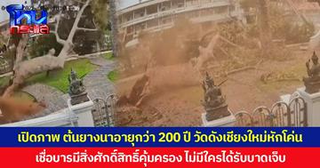 เผยคลิปเหตุการณ์ ต้นยางนาอายุกว่า 200 ปี วัดดังเชียงใหม่หักโค่น เชื่อบารมีสิ่งศักดิ์สิทธิ์คุ้มครอง ไม่มีใครได้รับบาดเจ็บ