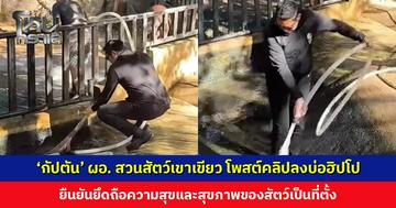 ‘กัปตัน’ ผอ. สวนสัตว์เขาเขียว โพสต์คลิปลงบ่อฮิปโป ยืนยันยึดถือความสุขและสุขภาพของสัตว์เป็นที่ตั้ง