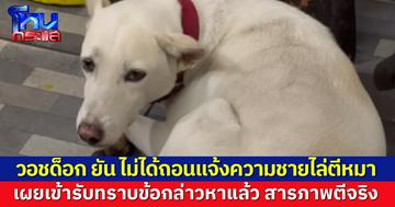 วอชด็อก ยัน ไม่ได้ถอนแจ้งความชายไล่ตีหมา เผยผู้ต้องหาเข้ารับทราบข้อกล่าวหาแล้ว
