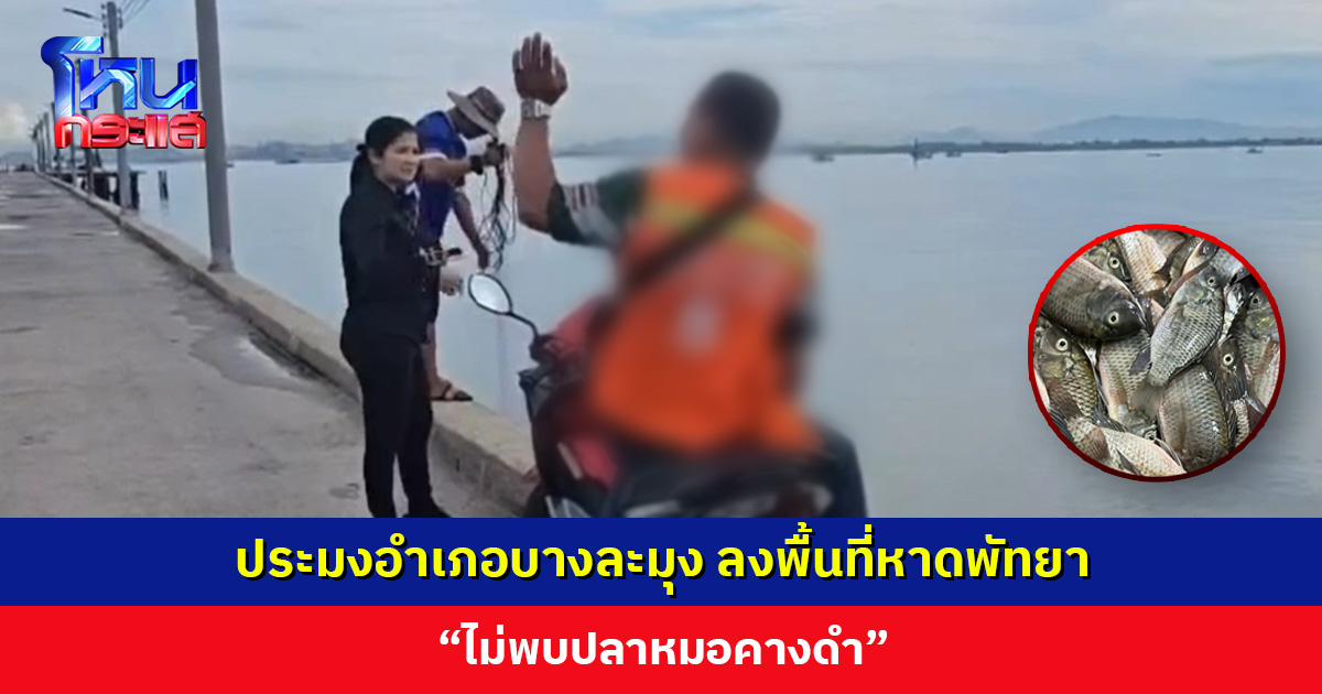 ประมงอำเภอบางละมุง ลงพื้นที่หาดพัทยา “ไม่พบปลาหมอคางดำ” วอนประชาชนหากจับได้อย่าปล่อยคืนแหล่งน้ำ