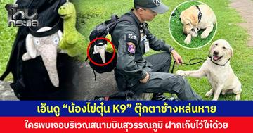 เอ็นดู “น้องไข่ตุ๋น K9” ตุ๊กตาช้างหล่นหาย ใครพบเจอบริเวณสนามบินสุวรรณภูมิ ฝากเก็บไว้ให้ด้วย