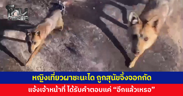 หญิงเที่ยวผาชะนะได ถูกสุนัขจิ้งจอกกัด เผยหลังเกิดเหตุแจ้งเจ้าหน้าที่ทันที แต่ได้คำตอบ "อีกแล้วเหรอ"
