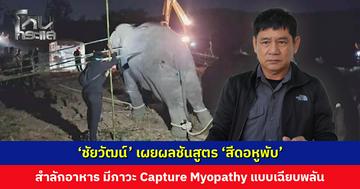 ‘ชัยวัฒน์’ เผยผลชันสูตร ‘สีดอหูพับ’ สำลักอาหาร มีภาวะ Capture Myopathy แบบเฉียบพลัน ทำให้ช็อกและหัวใจล้มเหลว