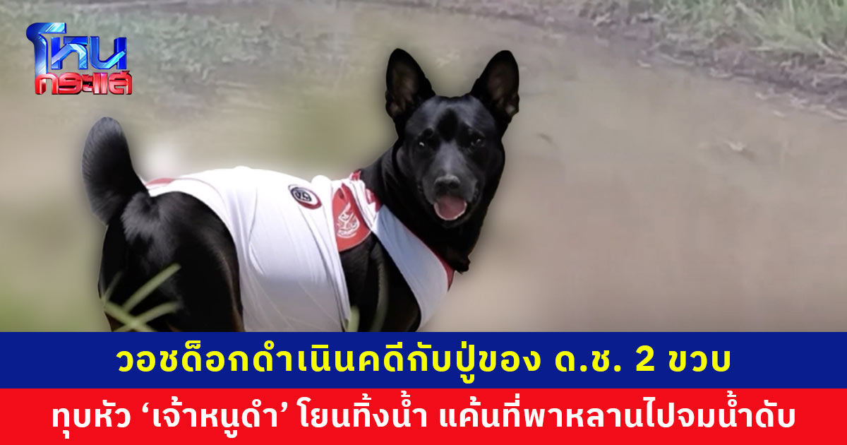 มูลนิธิวอชด็อกดำเนินคดีกับปู่ของ ด.ช. 2 ขวบ ทุบหัว ‘เจ้าหนูดำ’ ก่อนโยนทิ้งน้ำ เจ้าตัวสารภาพโกรธมากที่มีส่วนทำหลานจมน้ำดับ