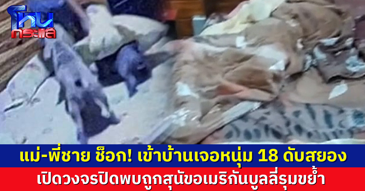 แม่-พี่ชาย ช็อก! เข้าบ้านเจอหนุ่ม 18 ดับคาห้องนอน เปิดวงจรปิดพบถูกสุนัขอเมริกันบูลลี่ที่เลี้ยงไว้ รุมขย้ำ 